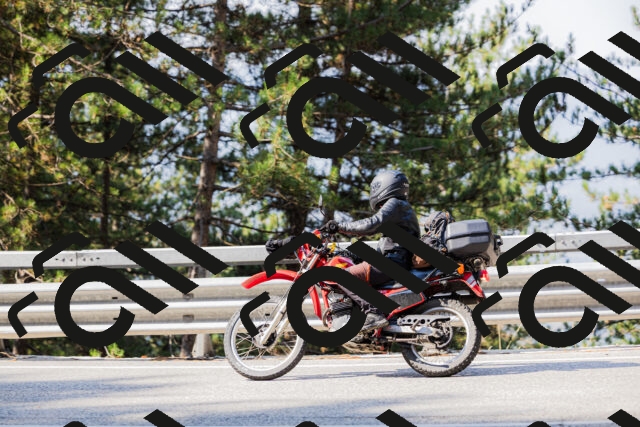 202508161015-_04A0277_c3