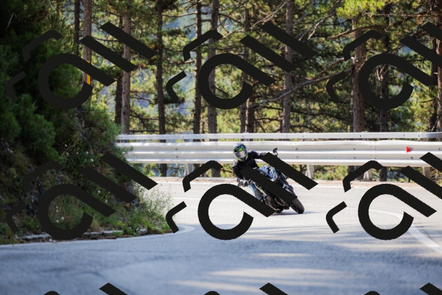 202508161015-_04A0278_c3