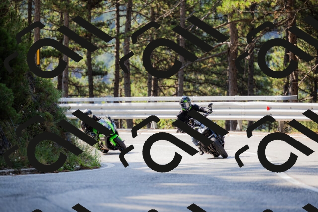 202508161015-_04A0279_c3