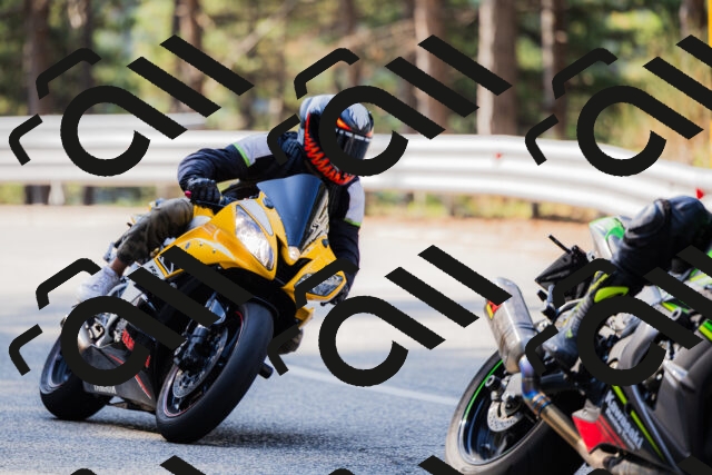 202508161015-_04A0283_c3