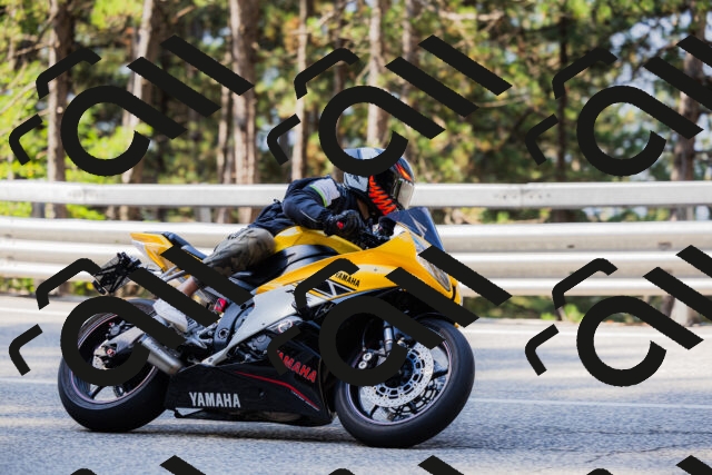 202508161015-_04A0285_c3