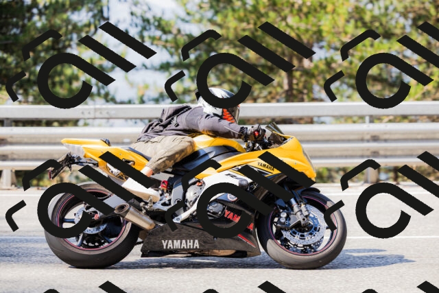 202508161015-_04A0286_c3