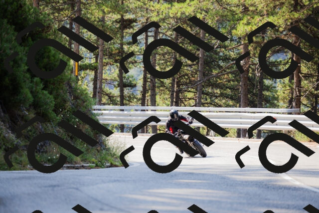 202508161016-_04A0287_c3