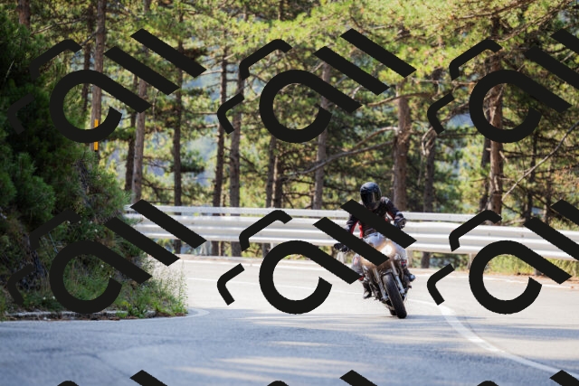 202508161016-_04A0289_c3