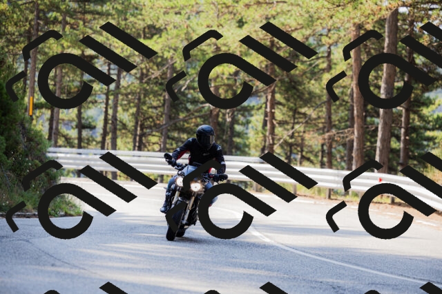 202508161016-_04A0290_c3