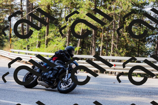 202508161016-_04A0291_c3