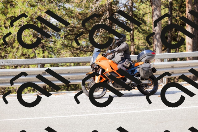 202508161017-_04A0295_c3