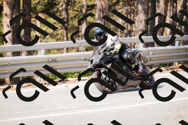 202508161020-_04A0300_c3