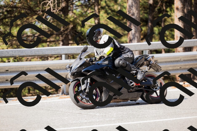 202508161020-_04A0301_c3