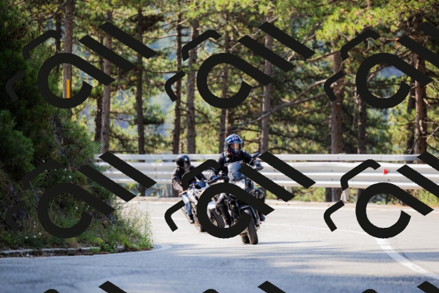 202508161021-_04A0302_c3