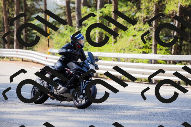 202508161021-_04A0303_c3