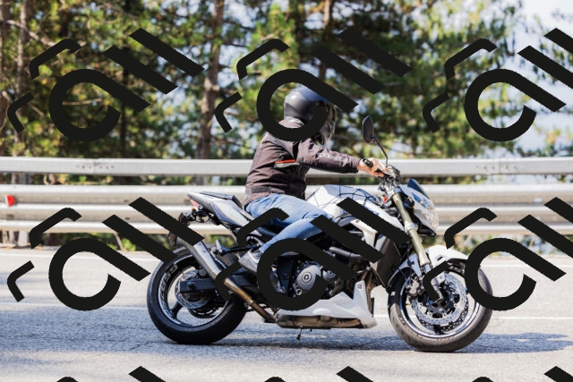 202508161021-_04A0305_c3