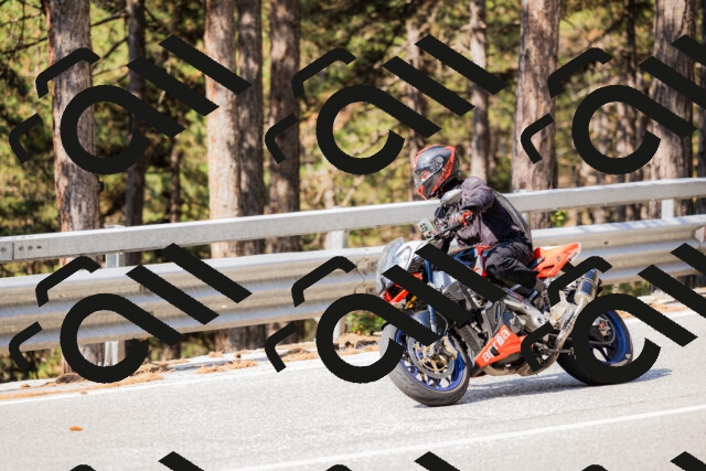 202508161026-_04A0309_c3