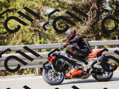 202508161026-_04A0310_c3