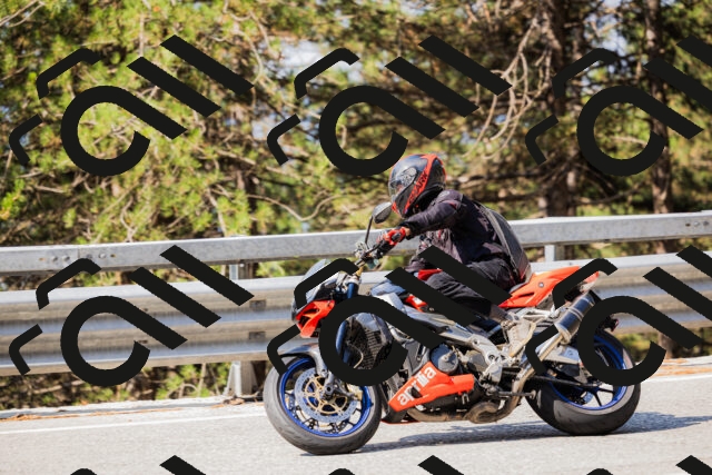 202508161026-_04A0310_c3