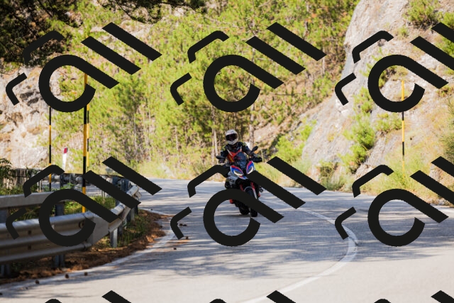 202508161026-_04A0311_c3