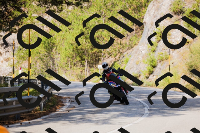 202508161026-_04A0312_c3