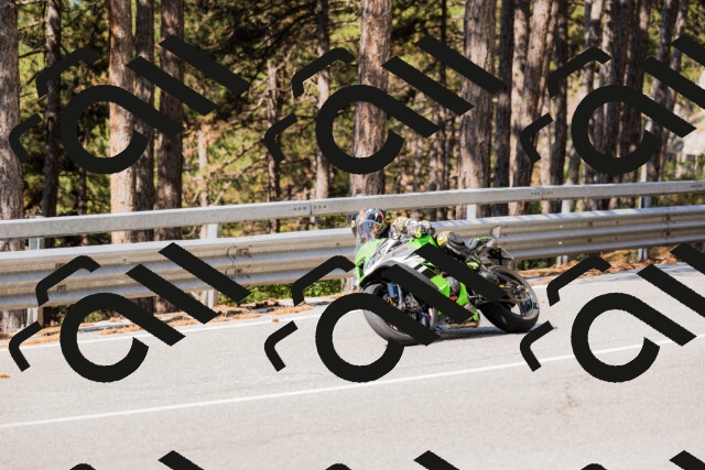 202508161026-_04A0319_c3