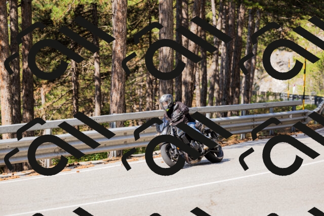 202508161027-_04A0325_c3