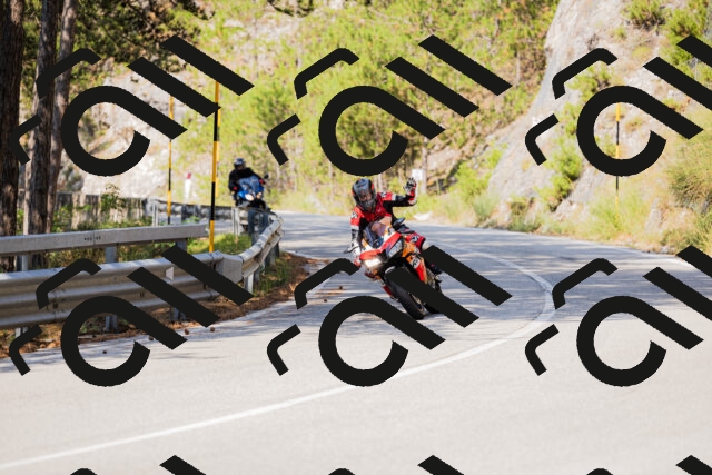 202508161027-_04A0329_c3