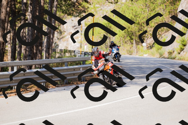 202508161027-_04A0330_c3