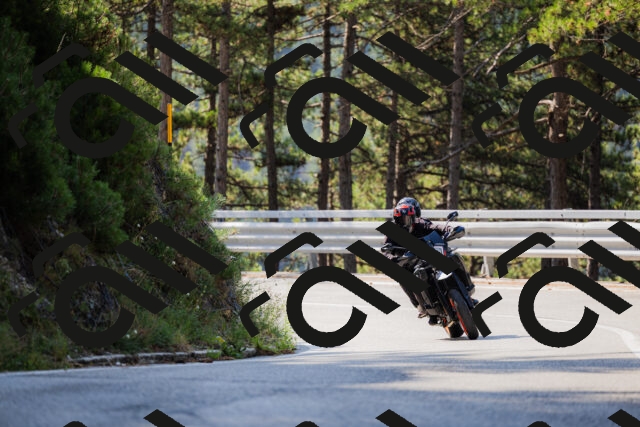 202508161027-_04A0336_c3