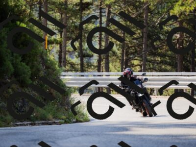 202508161027-_04A0336_c3