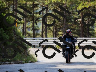 202508161027-_04A0337_c3