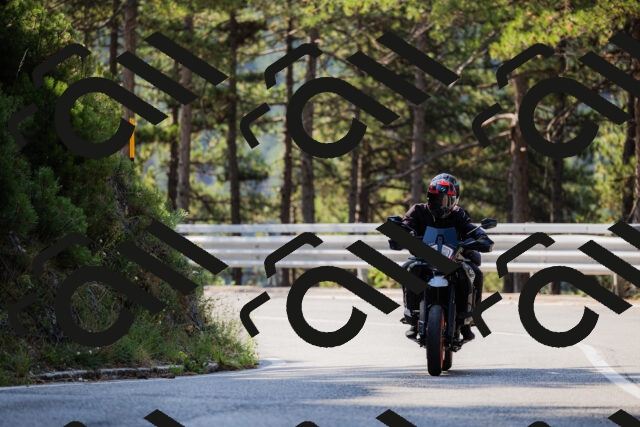 202508161027-_04A0337_c3