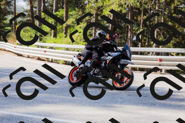 202508161027-_04A0338_c3