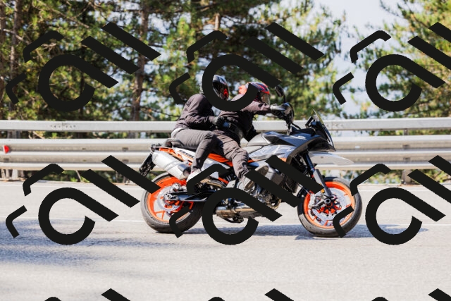 202508161027-_04A0339_c3