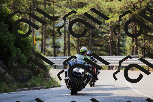 202508161031-_04A0341_c3