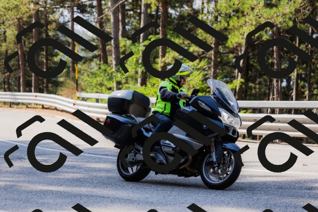 202508161031-_04A0343_c3