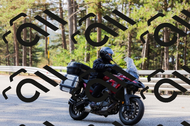 202508161031-_04A0344_c3