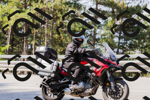 202508161031-_04A0345_c3