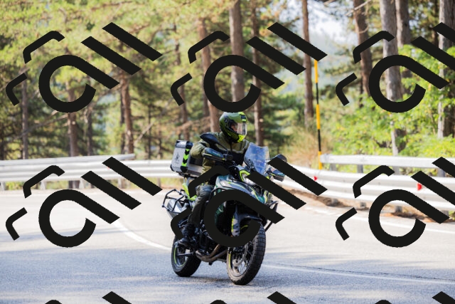 202508161031-_04A0346_c3