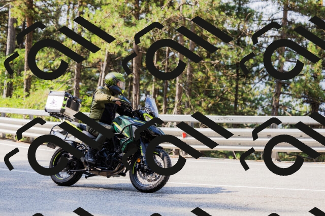 202508161031-_04A0347_c3