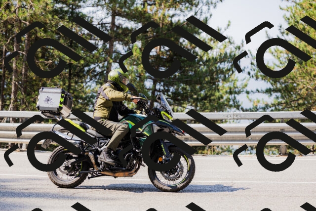 202508161031-_04A0348_c3