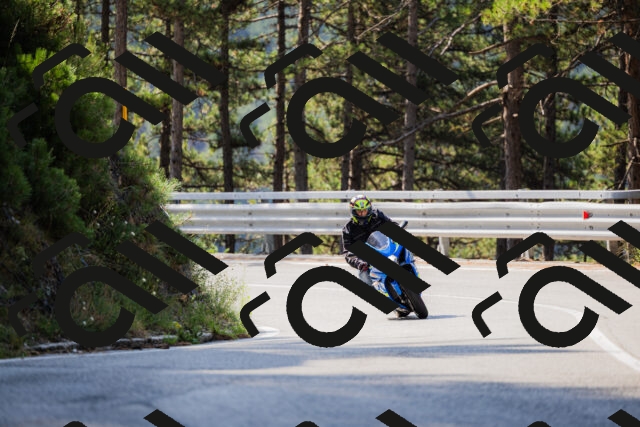 202508161033-_04A0350_c3