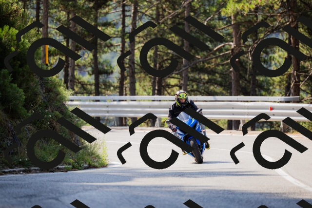 202508161033-_04A0351_c3