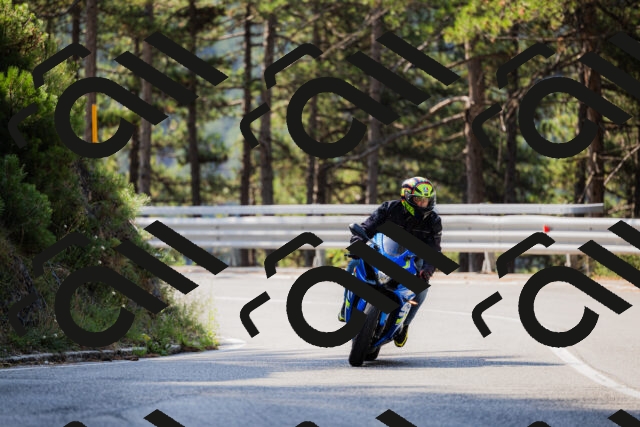 202508161033-_04A0352_c3