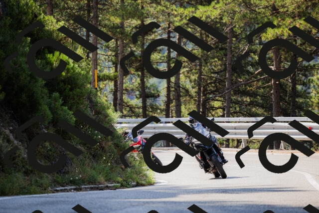 202508161033-_04A0356_c3