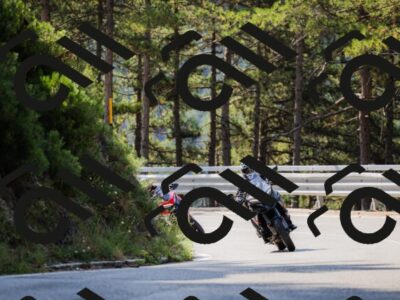 202508161033-_04A0356_c3