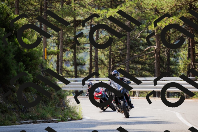 202508161033-_04A0357_c3