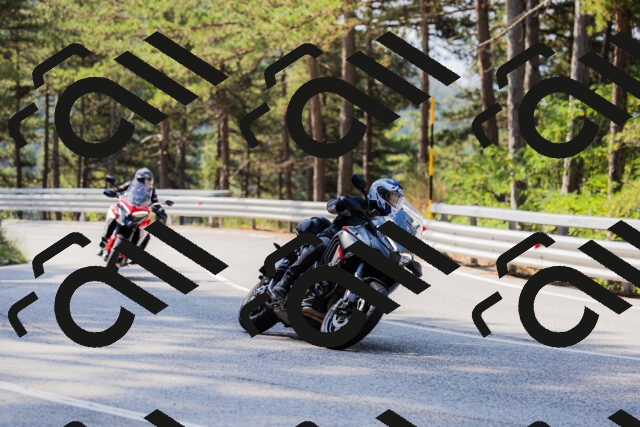 202508161033-_04A0359_c3