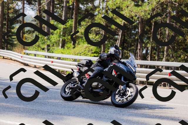 202508161033-_04A0360_c3