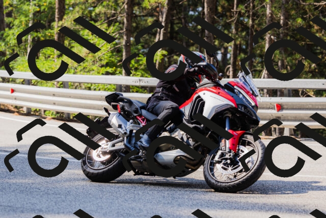 202508161033-_04A0361_c3