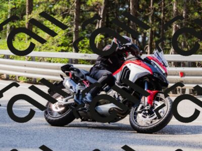 202508161033-_04A0361_c3