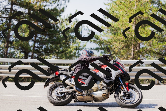 202508161033-_04A0362_c3