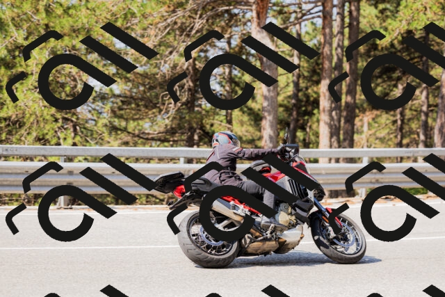 202508161033-_04A0363_c3